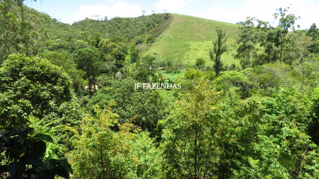 Sítio em Chácara/MG – 39,2 hectares Sítio em Chácara/MG – 39,2 hectares