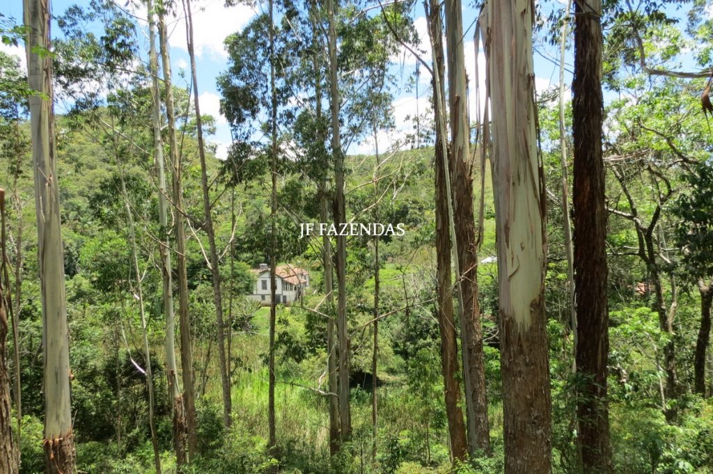 Sítio em Chácara/MG – 39,2 hectares Sítio em Chácara/MG – 39,2 hectares