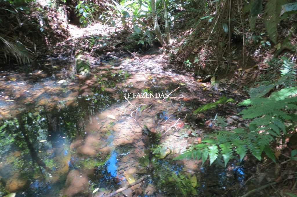 Sítio em Chácara/MG – 39,2 hectares Sítio em Chácara/MG – 39,2 hectares