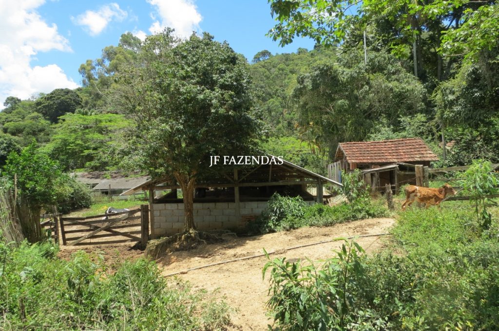 Sítio em Chácara/MG – 39,2 hectares Sítio em Chácara/MG – 39,2 hectares