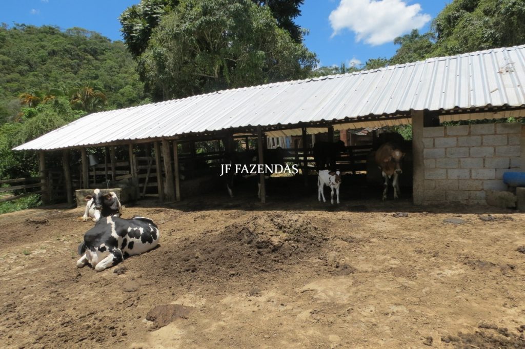 Sítio em Chácara/MG – 39,2 hectares Sítio em Chácara/MG – 39,2 hectares