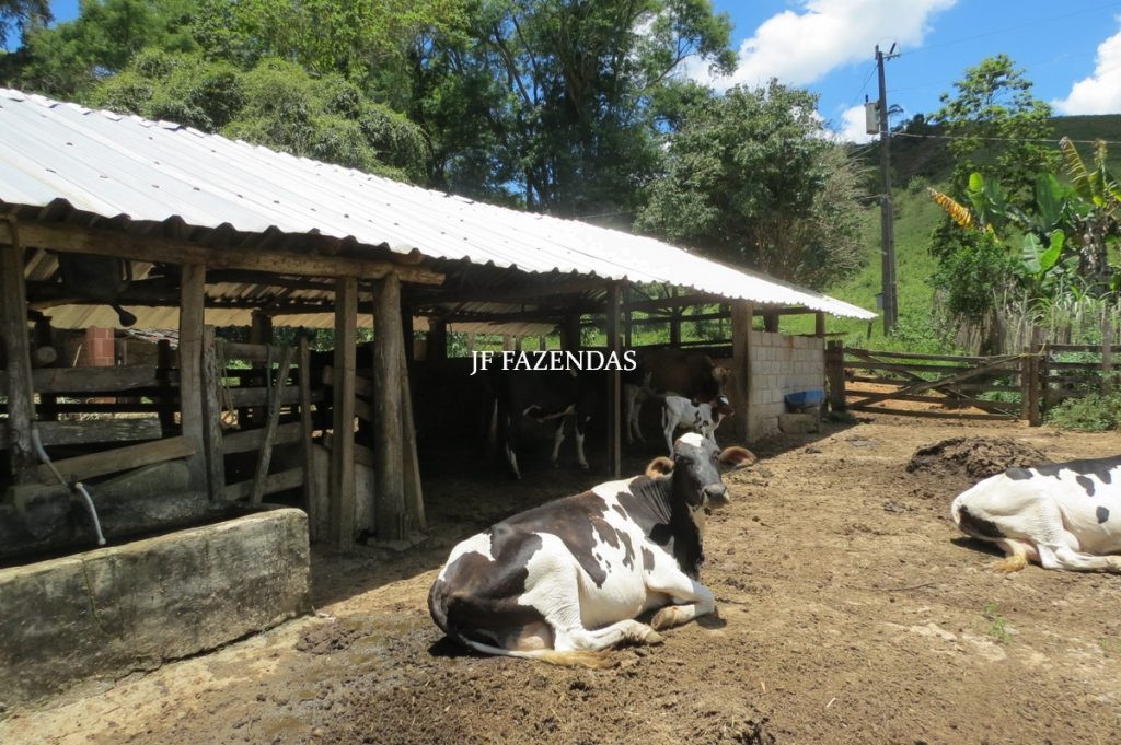 Sítio em Chácara/MG – 39,2 hectares Sítio em Chácara/MG – 39,2 hectares
