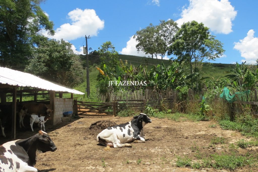 Sítio em Chácara/MG – 39,2 hectares Sítio em Chácara/MG – 39,2 hectares