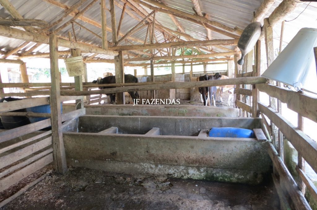 Sítio em Chácara/MG – 39,2 hectares Sítio em Chácara/MG – 39,2 hectares