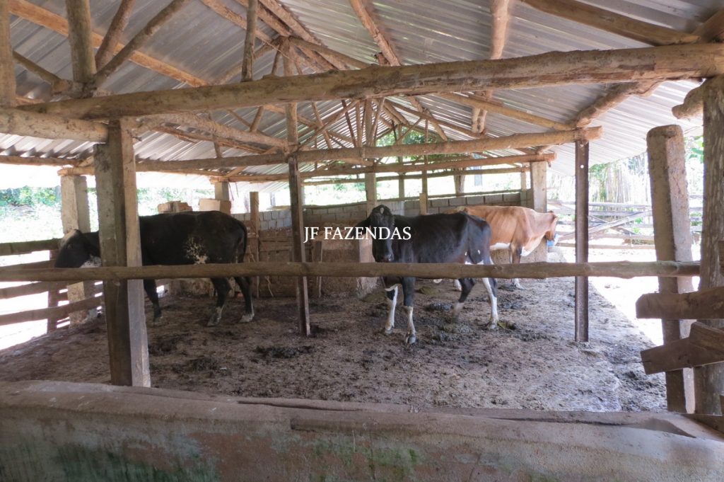 Sítio em Chácara/MG – 39,2 hectares Sítio em Chácara/MG – 39,2 hectares