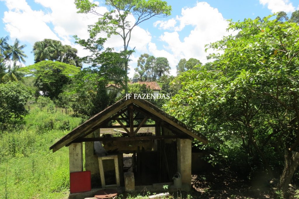 Sítio em Chácara/MG – 39,2 hectares Sítio em Chácara/MG – 39,2 hectares
