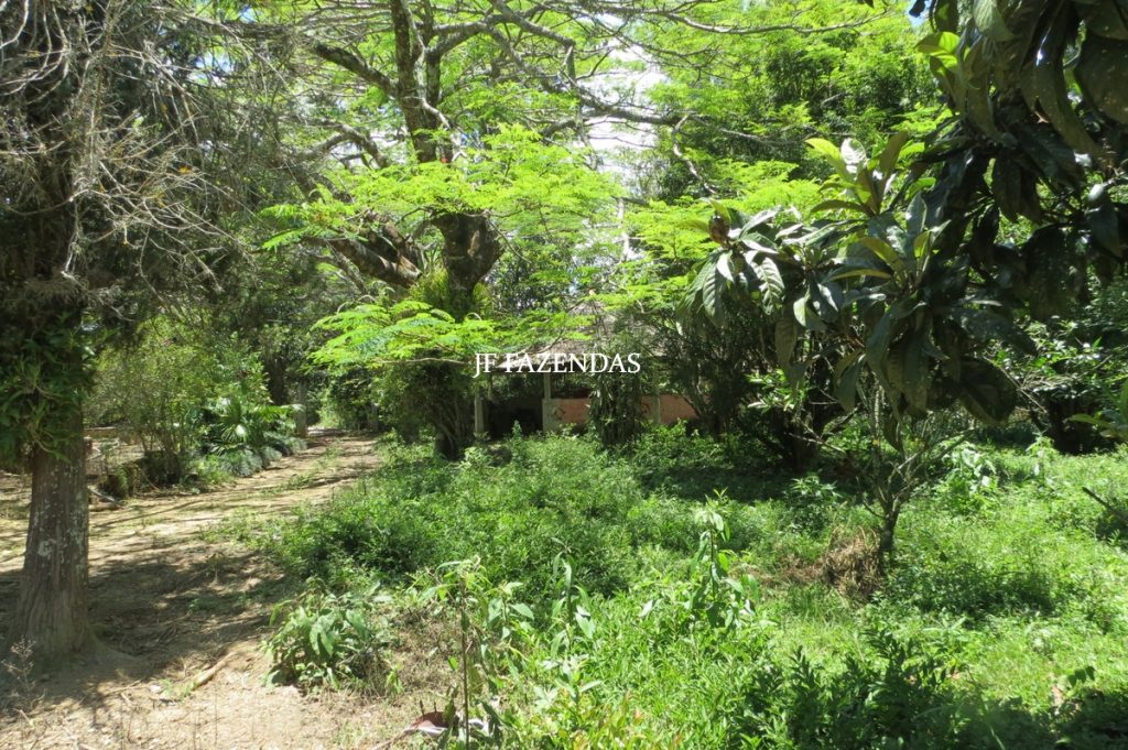 Sítio em Chácara/MG – 39,2 hectares Sítio em Chácara/MG – 39,2 hectares