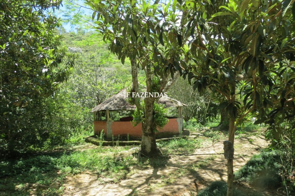 Sítio em Chácara/MG – 39,2 hectares Sítio em Chácara/MG – 39,2 hectares