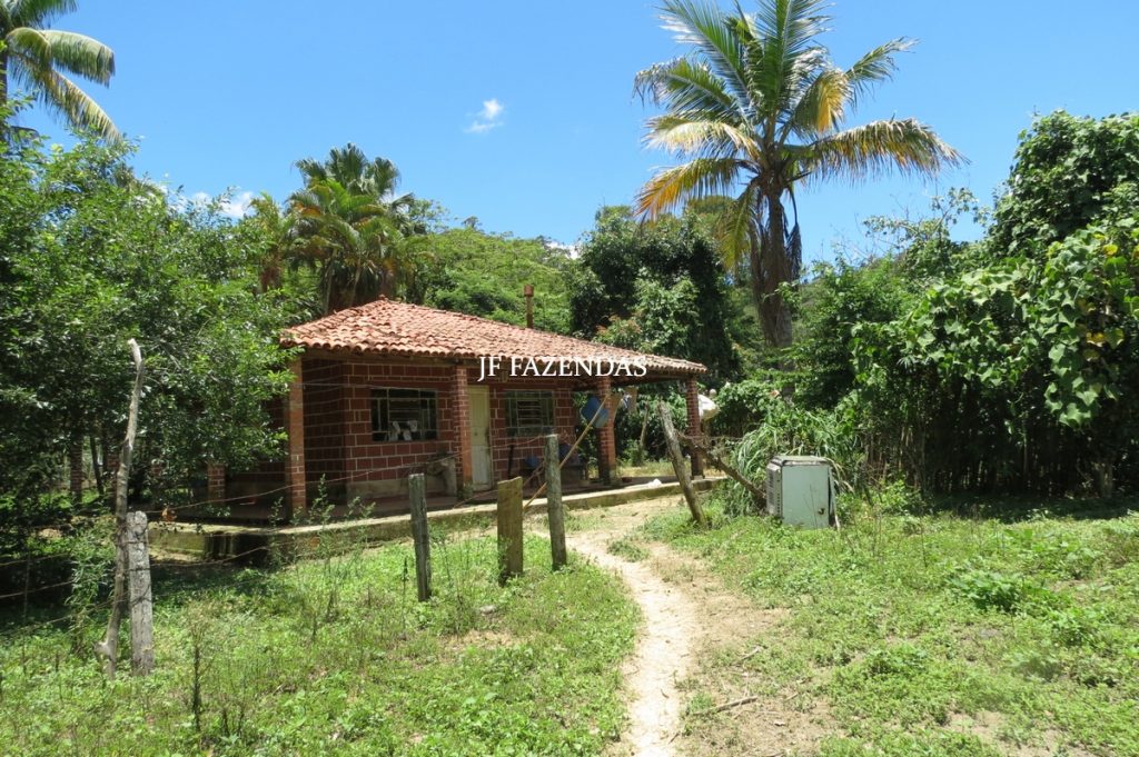 Sítio em Chácara/MG – 39,2 hectares Sítio em Chácara/MG – 39,2 hectares