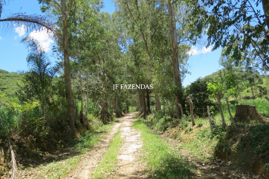 Sítio em Chácara/MG – 39,2 hectares Sítio em Chácara/MG – 39,2 hectares