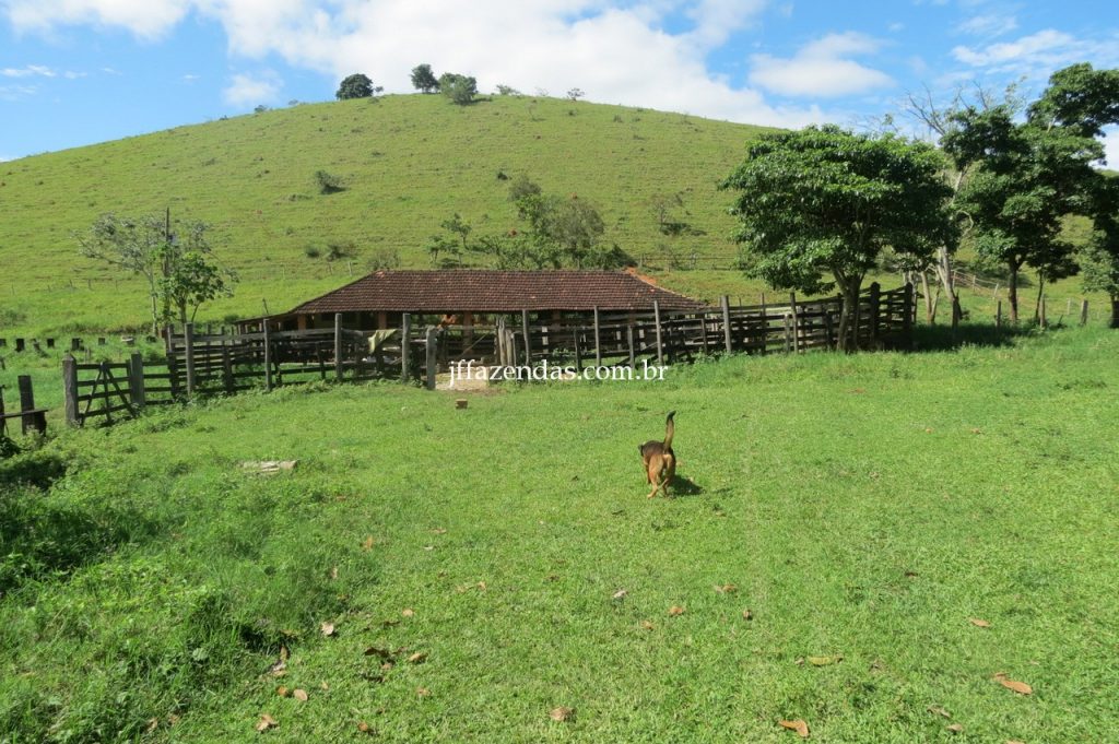 Fazenda em Piau/MG com 156,47.93 hectares Fazenda em Piau/MG com 156,47.93 hectares