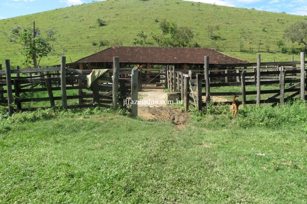 Fazenda em Piau/MG com 156,47.93 hectares Fazenda em Piau/MG com 156,47.93 hectares