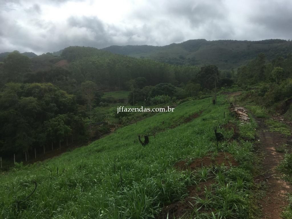 Fazenda em Mar de Espanha/MG – 87 hectares Fazenda em Mar de Espanha/MG – 87 hectares
