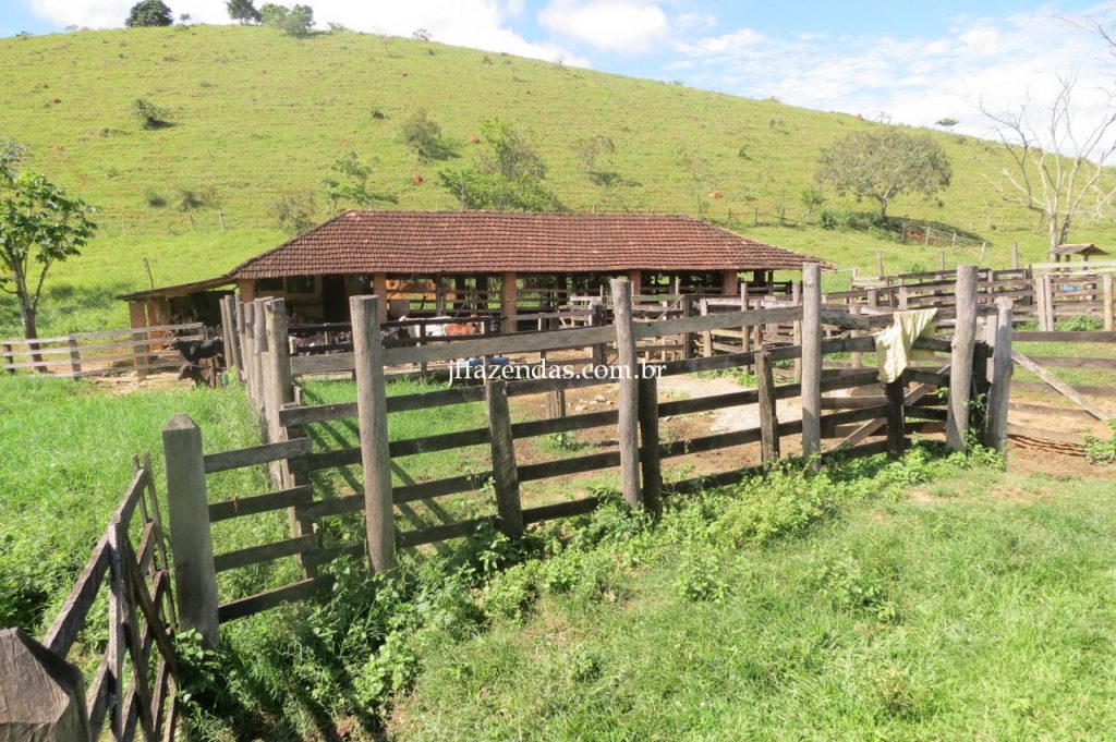 Fazenda em Piau/MG com 156,47.93 hectares Fazenda em Piau/MG com 156,47.93 hectares