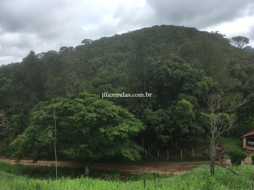 Fazenda em Mar de Espanha/MG – 87 hectares Fazenda em Mar de Espanha/MG – 87 hectares