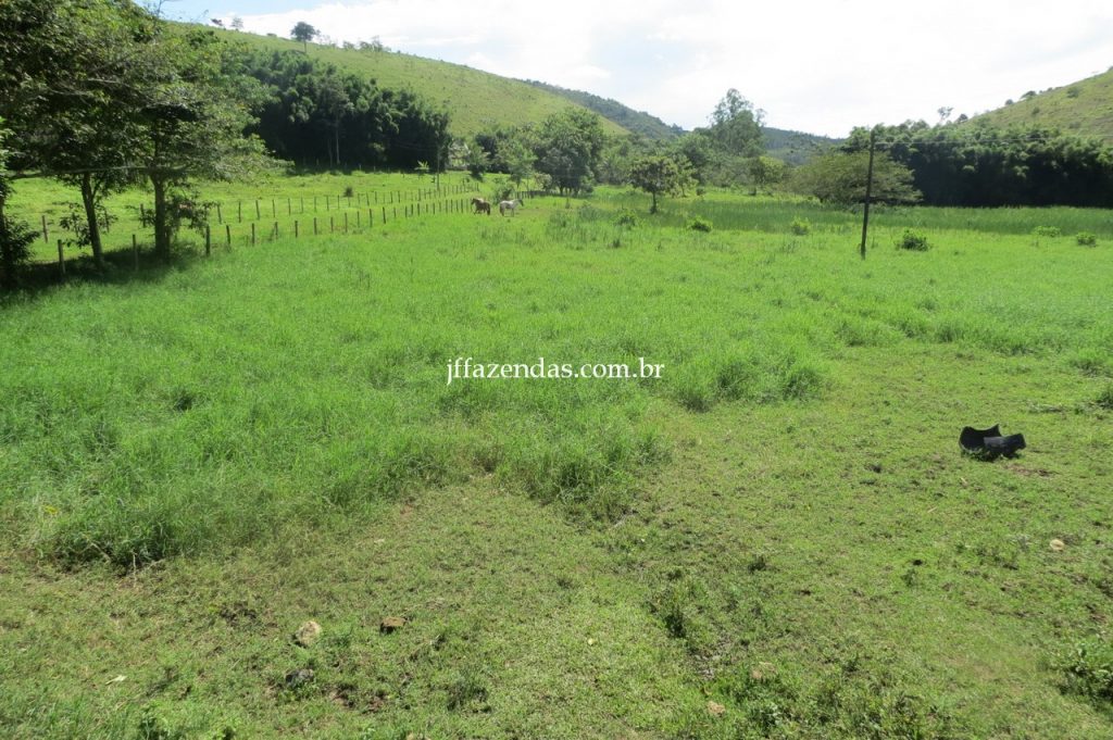 Fazenda em Piau/MG com 156,47.93 hectares Fazenda em Piau/MG com 156,47.93 hectares