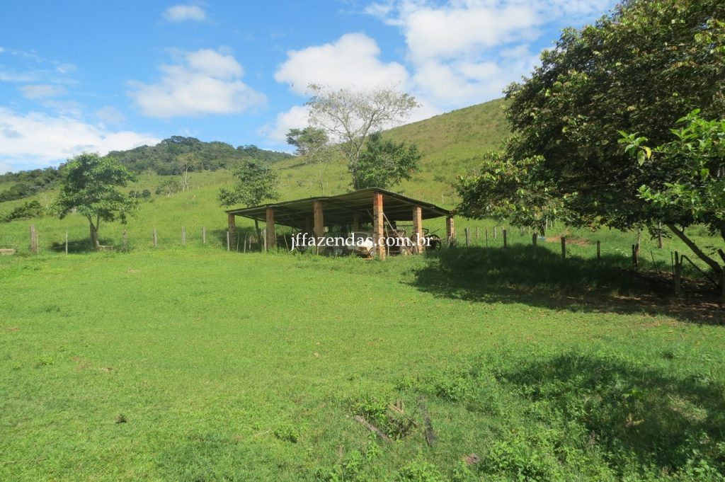 Fazenda em Piau/MG com 156,47.93 hectares Fazenda em Piau/MG com 156,47.93 hectares