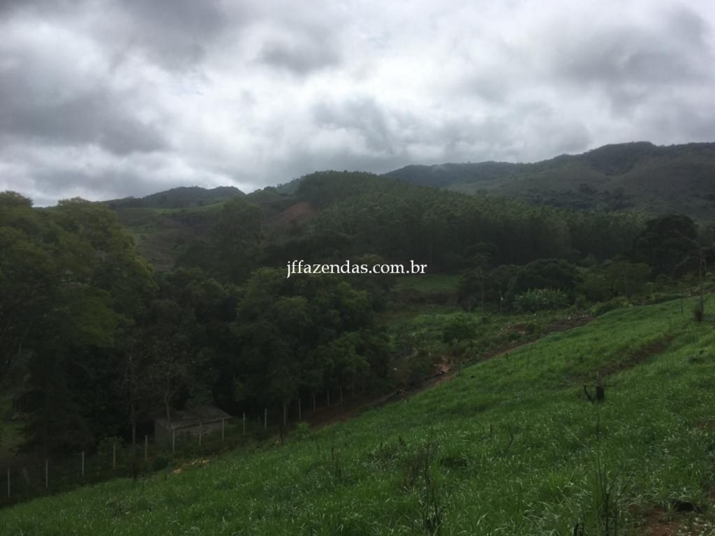 Fazenda em Mar de Espanha/MG – 87 hectares Fazenda em Mar de Espanha/MG – 87 hectares