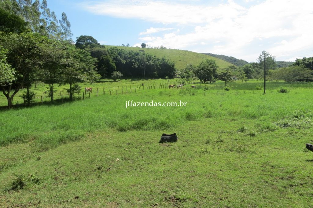 Fazenda em Piau/MG com 156,47.93 hectares Fazenda em Piau/MG com 156,47.93 hectares