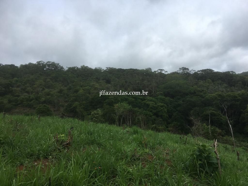 Fazenda em Mar de Espanha/MG – 87 hectares Fazenda em Mar de Espanha/MG – 87 hectares