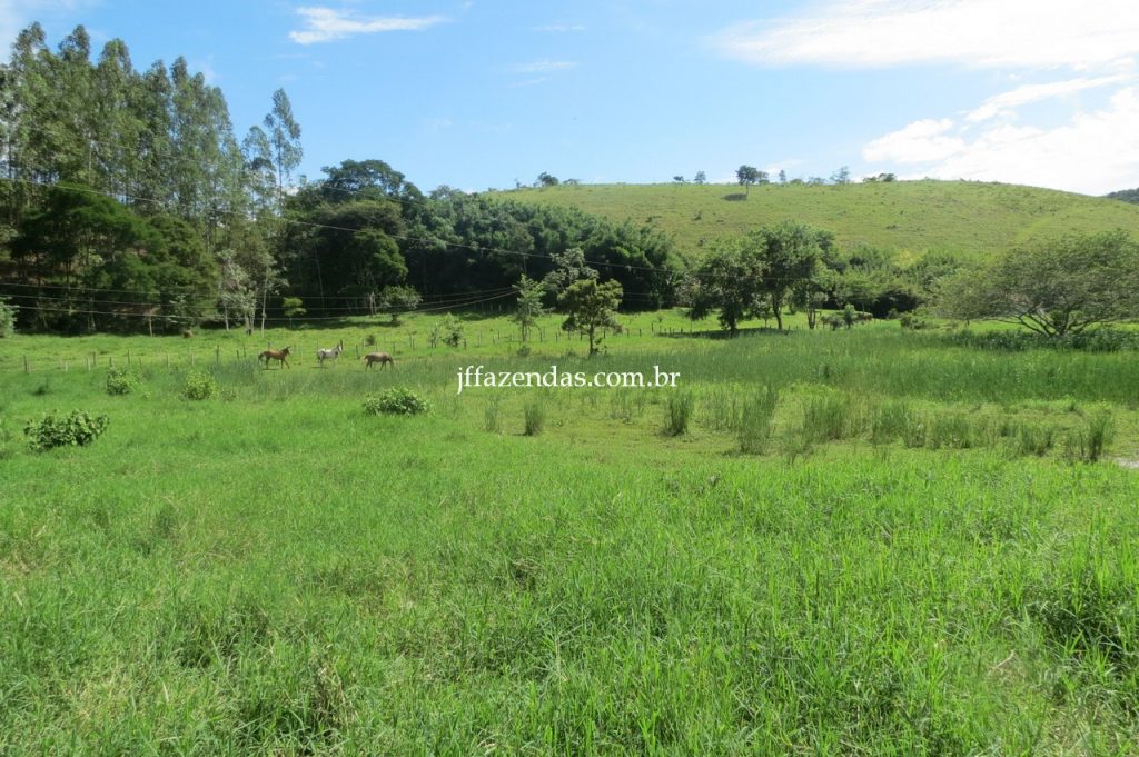Fazenda em Piau/MG com 156,47.93 hectares Fazenda em Piau/MG com 156,47.93 hectares