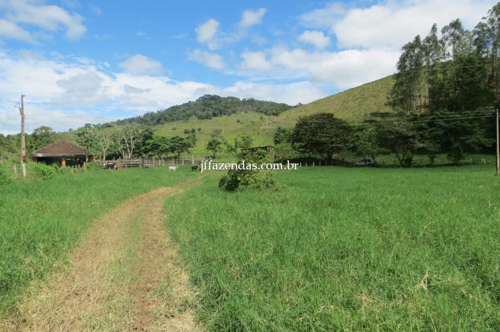 Fazenda em Piau/MG com 156,47.93 hectares Fazenda em Piau/MG com 156,47.93 hectares