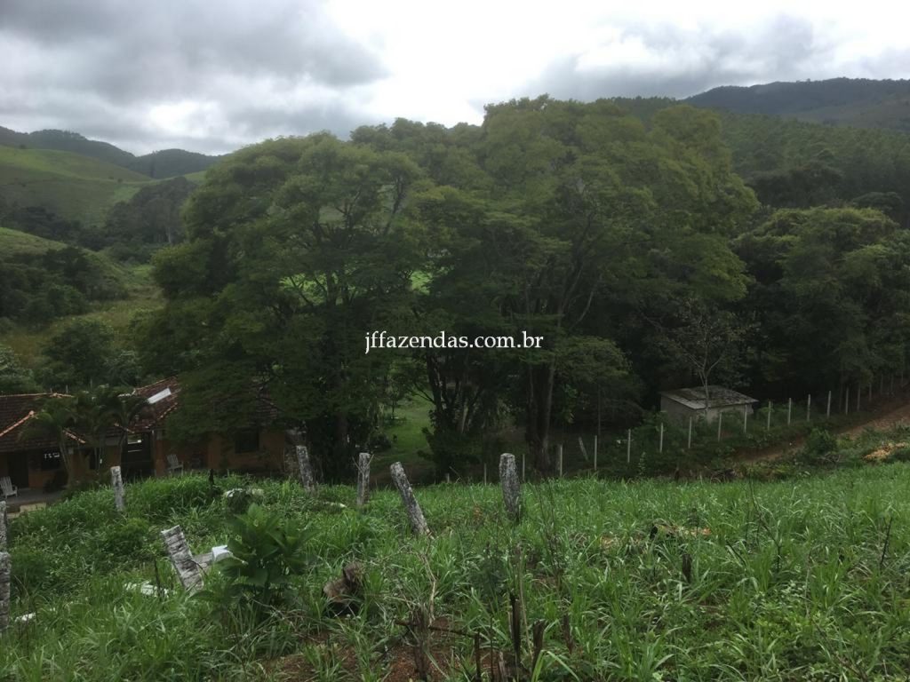Fazenda em Mar de Espanha/MG – 87 hectares Fazenda em Mar de Espanha/MG – 87 hectares