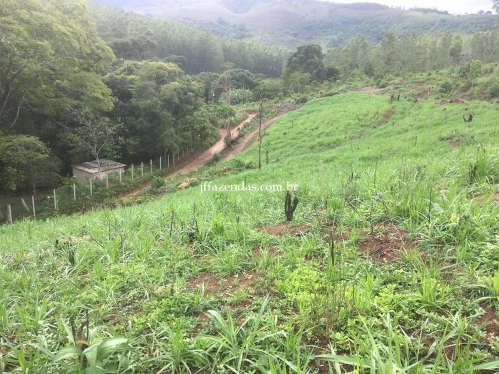 Fazenda em Mar de Espanha/MG – 87 hectares Fazenda em Mar de Espanha/MG – 87 hectares