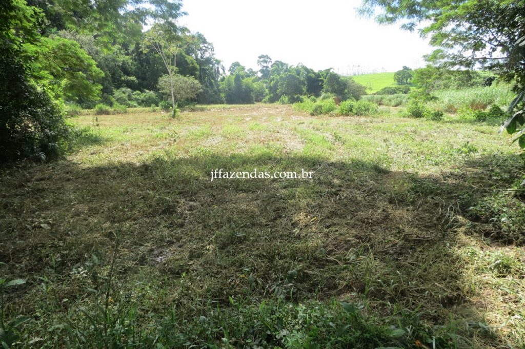 Fazenda em Piau/MG com 156,47.93 hectares Fazenda em Piau/MG com 156,47.93 hectares