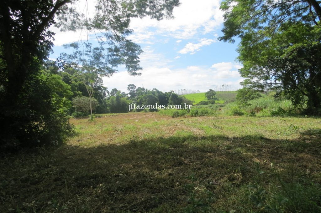 Fazenda em Piau/MG com 156,47.93 hectares Fazenda em Piau/MG com 156,47.93 hectares
