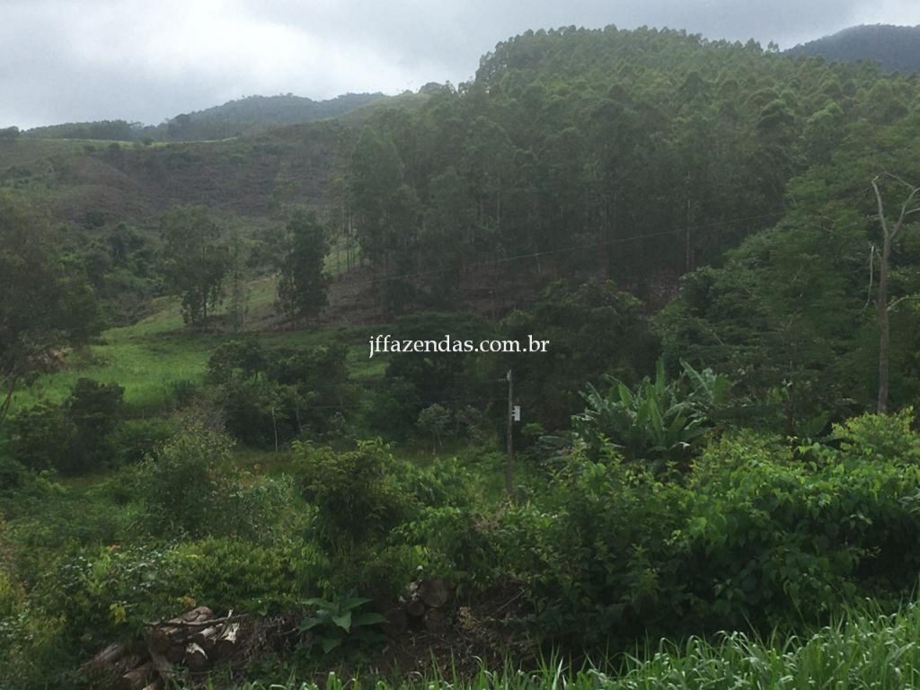 Fazenda em Mar de Espanha/MG – 87 hectares Fazenda em Mar de Espanha/MG – 87 hectares