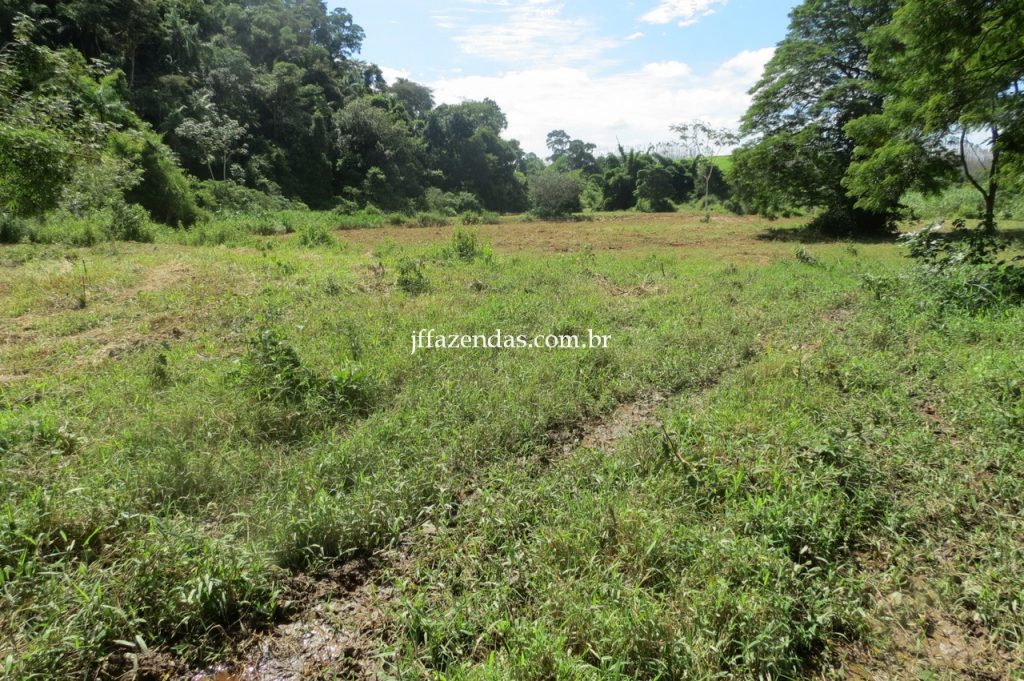 Fazenda em Piau/MG com 156,47.93 hectares Fazenda em Piau/MG com 156,47.93 hectares