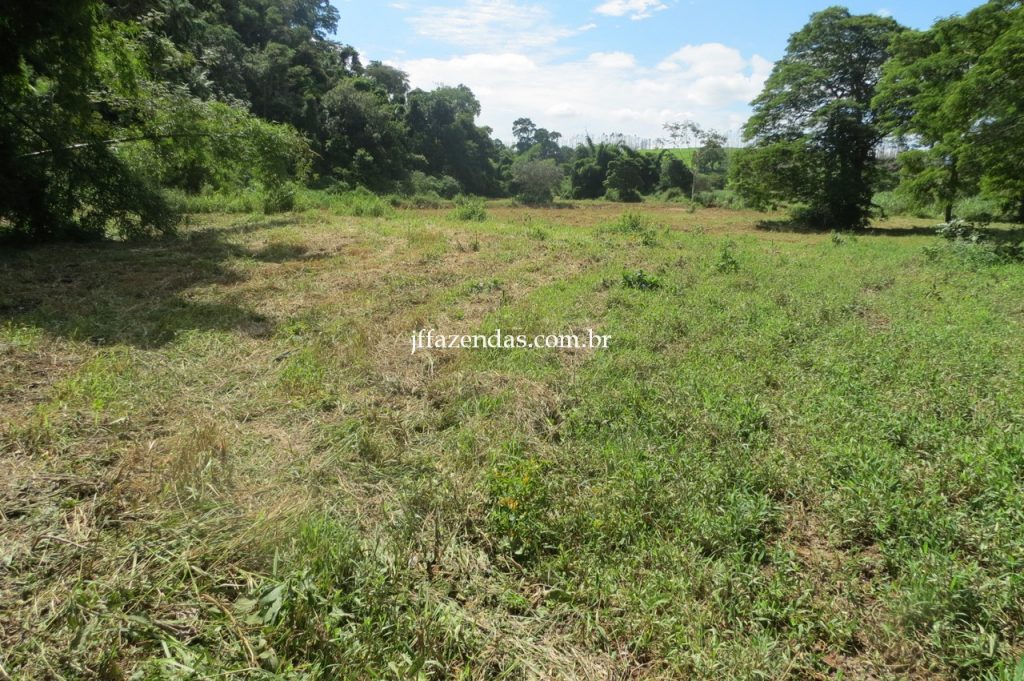 Fazenda em Piau/MG com 156,47.93 hectares Fazenda em Piau/MG com 156,47.93 hectares