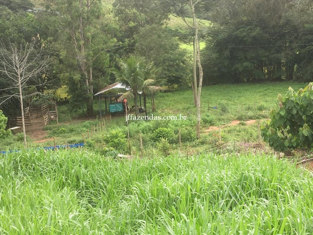 Fazenda em Mar de Espanha/MG – 87 hectares Fazenda em Mar de Espanha/MG – 87 hectares