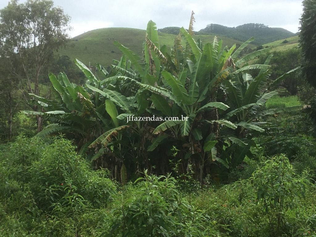 Fazenda em Mar de Espanha/MG – 87 hectares Fazenda em Mar de Espanha/MG – 87 hectares