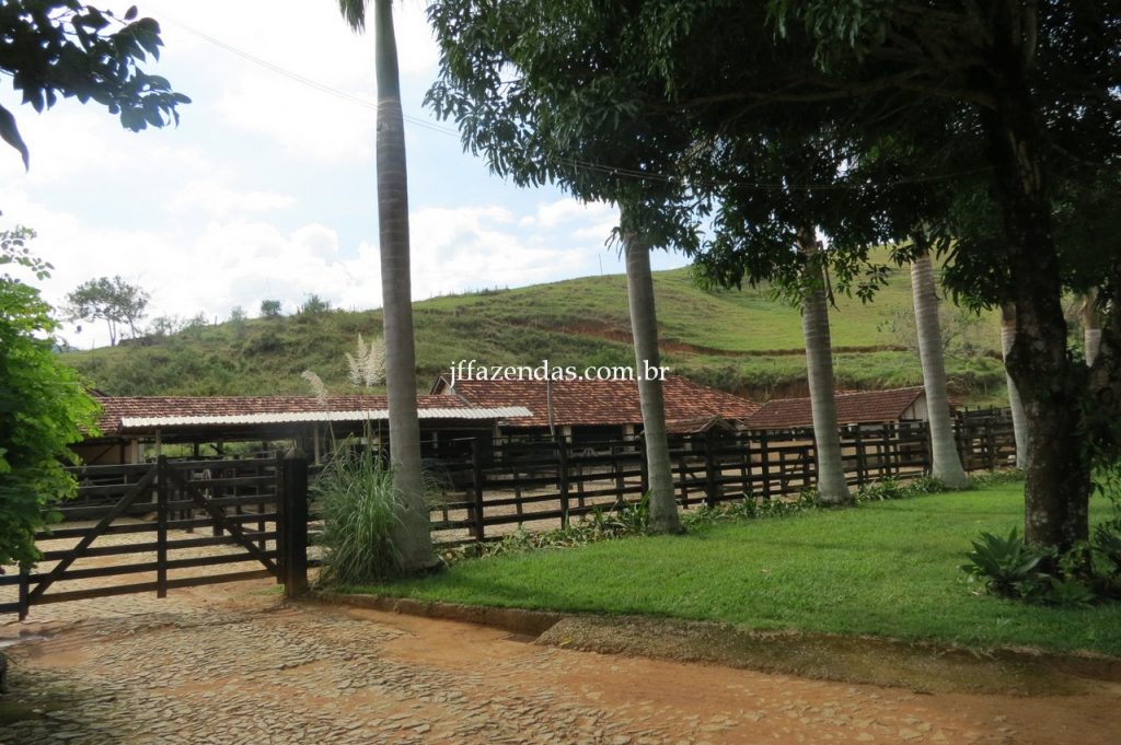 Fazenda em Maripá de Minas/MG – 209 hectares Fazenda em Maripá de Minas/MG – 209 hectares