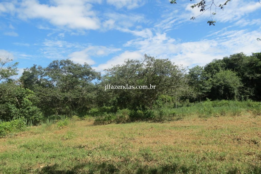 Fazenda em Piau/MG com 156,47.93 hectares Fazenda em Piau/MG com 156,47.93 hectares