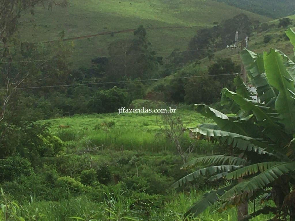 Fazenda em Mar de Espanha/MG – 87 hectares Fazenda em Mar de Espanha/MG – 87 hectares