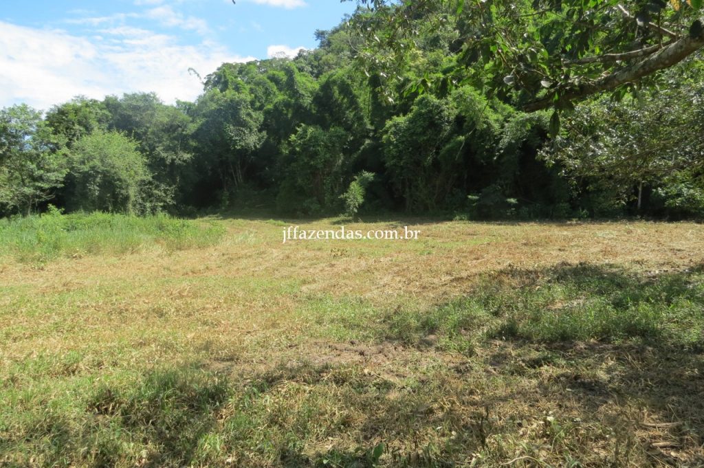 Fazenda em Piau/MG com 156,47.93 hectares Fazenda em Piau/MG com 156,47.93 hectares