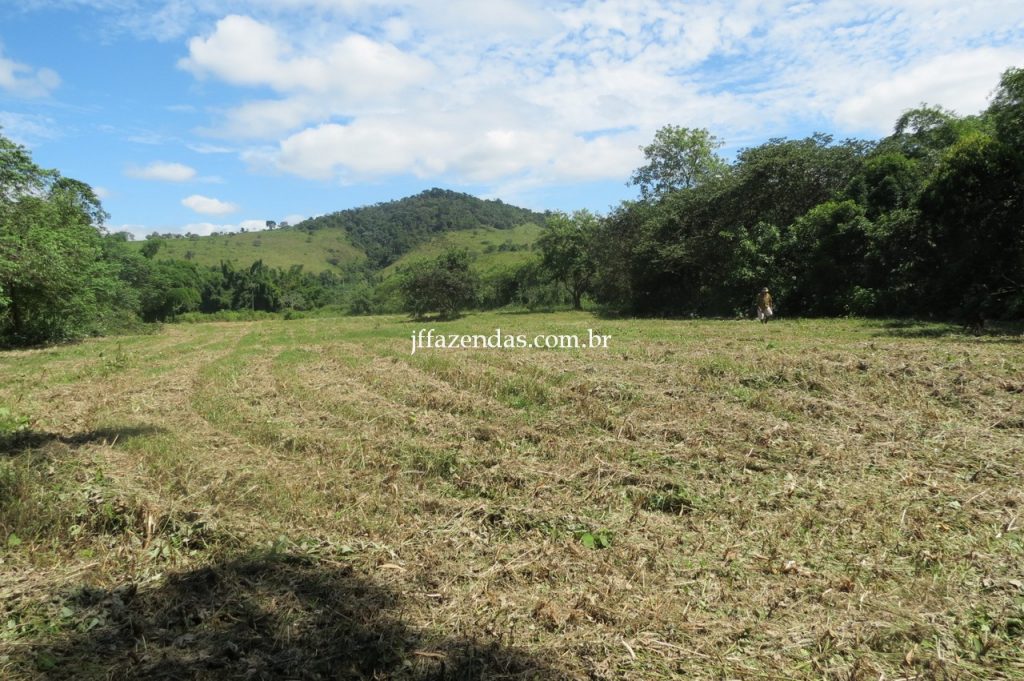 Fazenda em Piau/MG com 156,47.93 hectares Fazenda em Piau/MG com 156,47.93 hectares