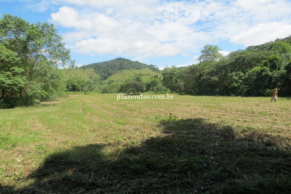 Fazenda em Piau/MG com 156,47.93 hectares Fazenda em Piau/MG com 156,47.93 hectares