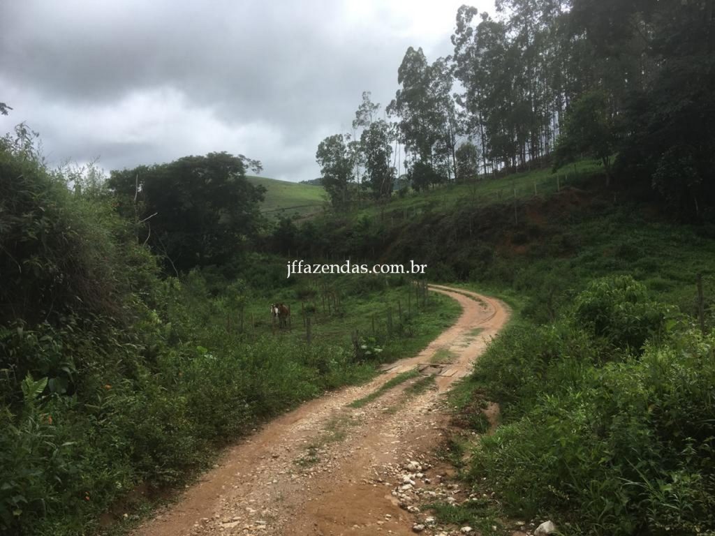 Fazenda em Mar de Espanha/MG – 87 hectares Fazenda em Mar de Espanha/MG – 87 hectares