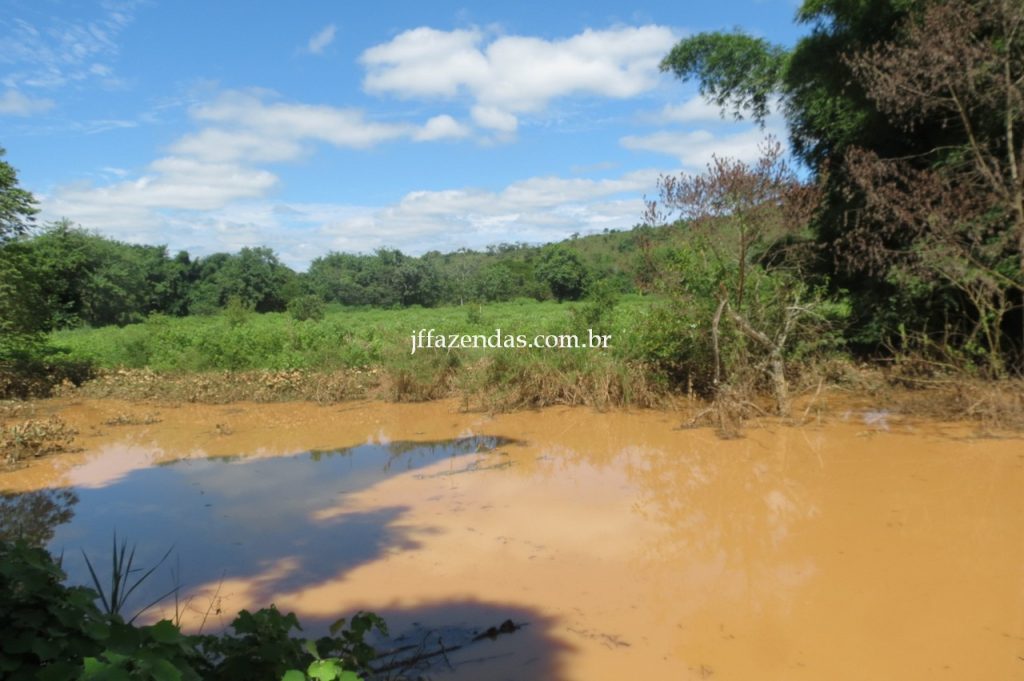 Fazenda em Piau/MG com 156,47.93 hectares Fazenda em Piau/MG com 156,47.93 hectares