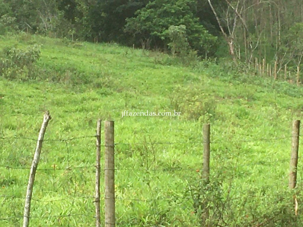 Fazenda em Mar de Espanha/MG – 87 hectares Fazenda em Mar de Espanha/MG – 87 hectares
