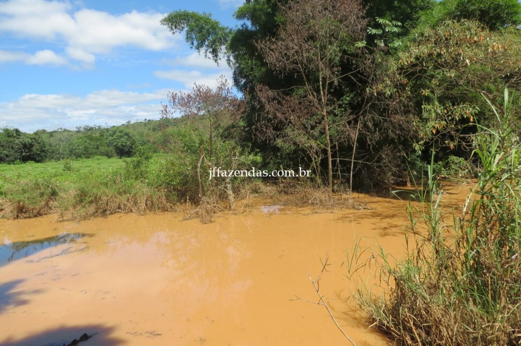 Fazenda em Piau/MG com 156,47.93 hectares Fazenda em Piau/MG com 156,47.93 hectares
