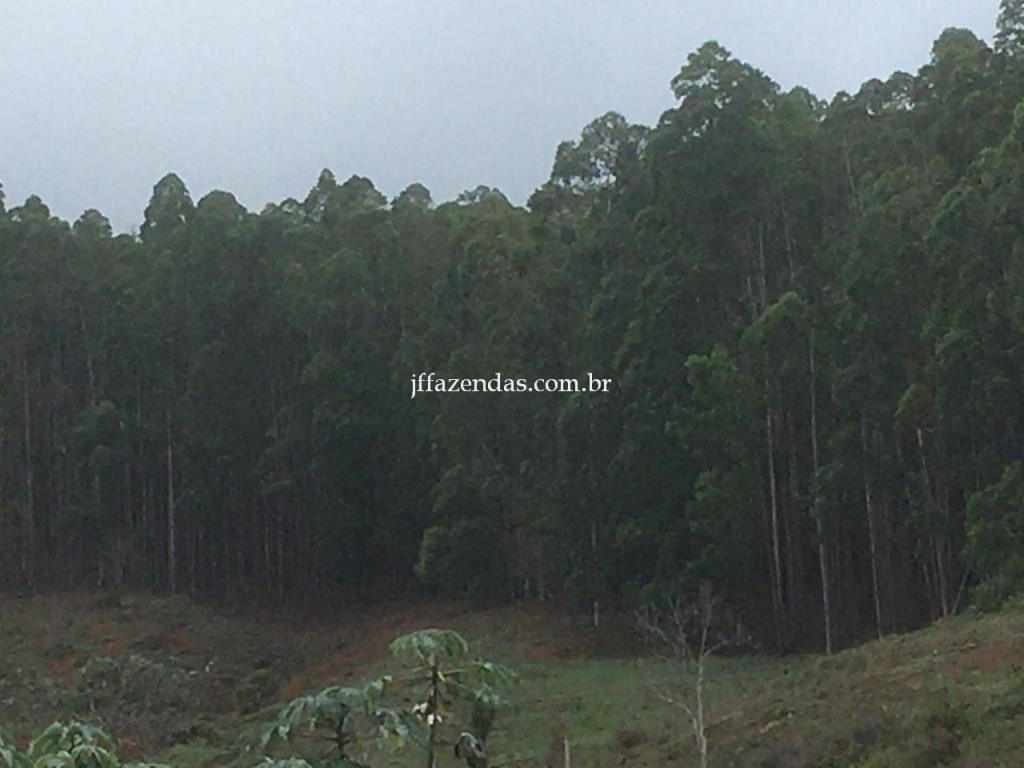 Fazenda em Mar de Espanha/MG – 87 hectares Fazenda em Mar de Espanha/MG – 87 hectares