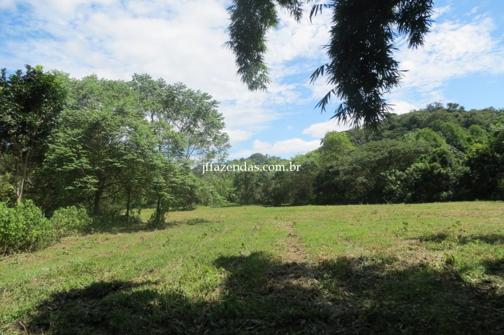 Fazenda em Piau/MG com 156,47.93 hectares Fazenda em Piau/MG com 156,47.93 hectares