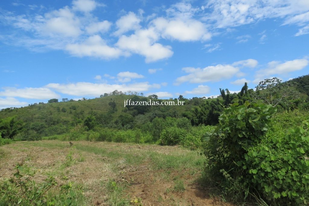 Fazenda em Piau/MG com 156,47.93 hectares Fazenda em Piau/MG com 156,47.93 hectares