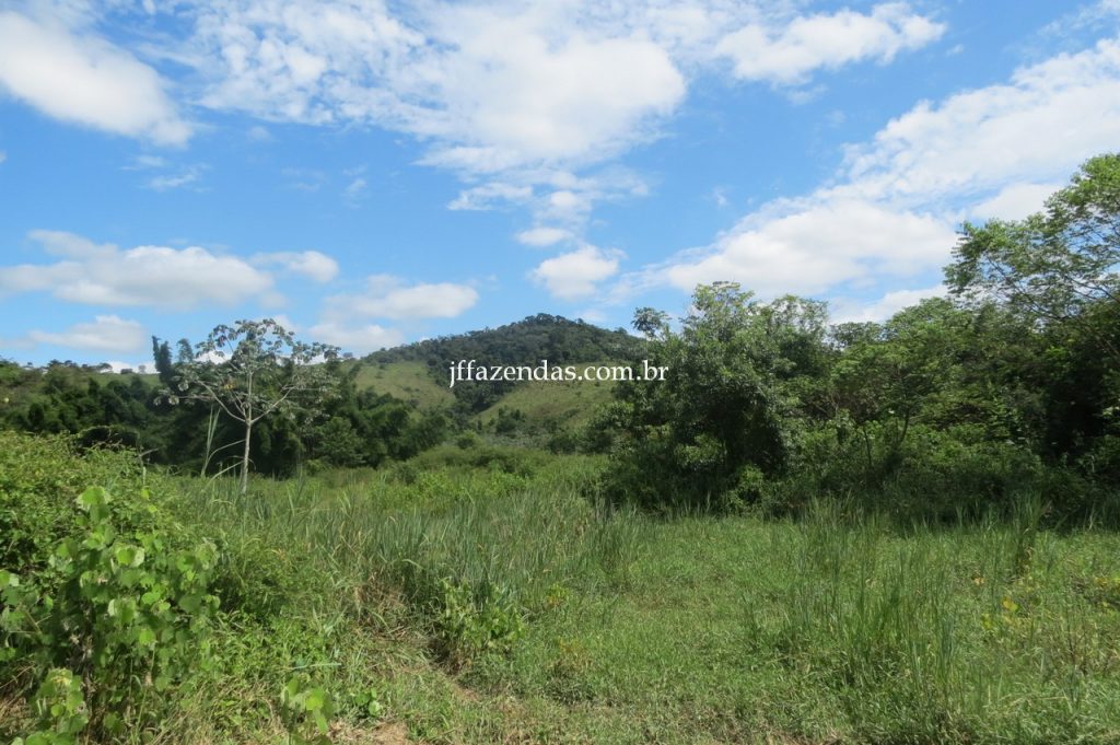 Fazenda em Piau/MG com 156,47.93 hectares Fazenda em Piau/MG com 156,47.93 hectares