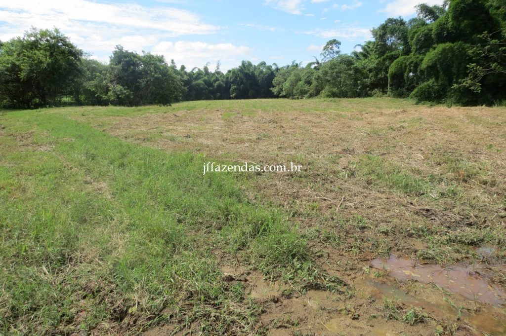 Fazenda em Piau/MG com 156,47.93 hectares Fazenda em Piau/MG com 156,47.93 hectares